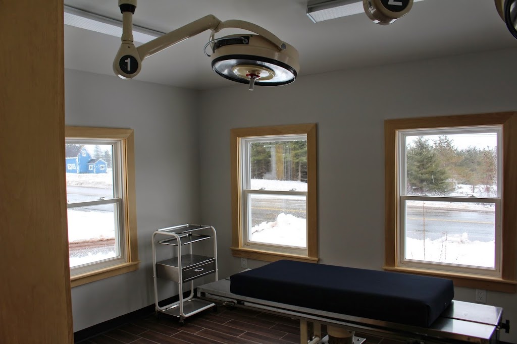 New Perth Animal Hospital | 3188 Georgetown Rd Rte. #3, New Perth, PE C0A 1G0, Canada | Phone: (902) 838-1800