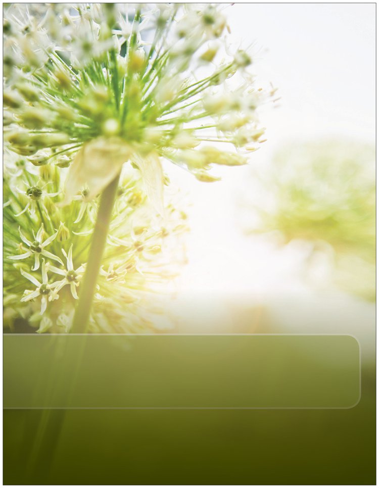 Self-Balance Psychological Services | 1211 Drummond School Rd, Perth, ON K7H 3C8, Canada | Phone: (613) 264-1985