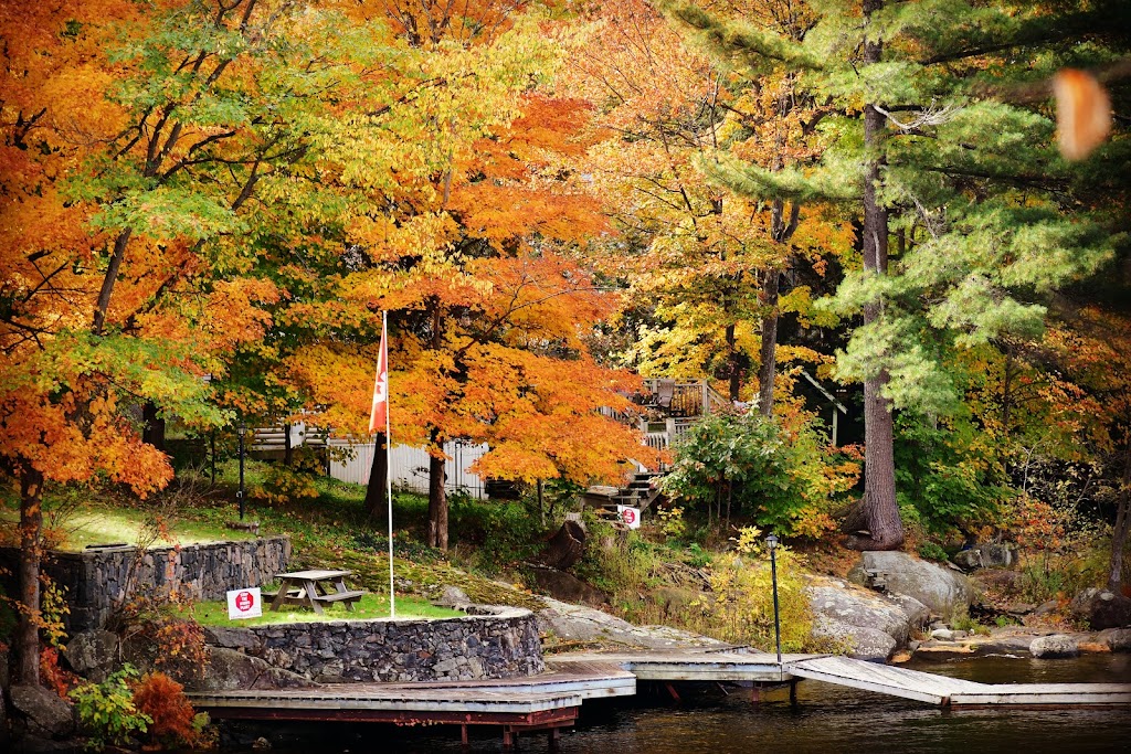 Bala Cranberry Festival | 3060 Muskoka District Road 169, Bala, ON P0C 1A0, Canada | Phone: (705) 762-1564
