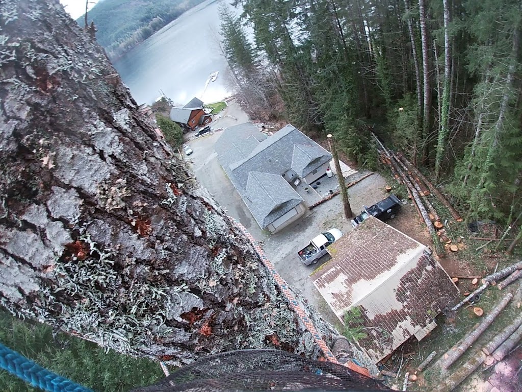 Nomad Tree Service | 5671 Falls St, Port Alberni, BC V9Y 8K7, Canada | Phone: (250) 735-2674