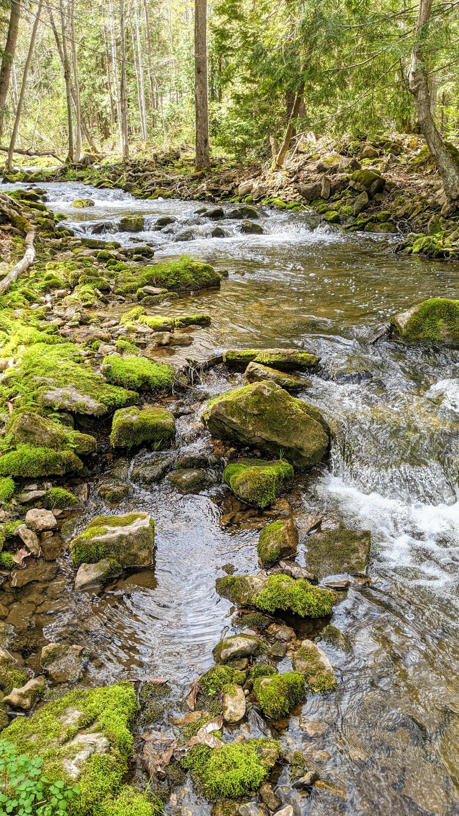 Grey Sauble Conservation Authority | 237897 Inglis Falls Rd, Owen Sound, ON N4K 5N6, Canada | Phone: (519) 376-3076
