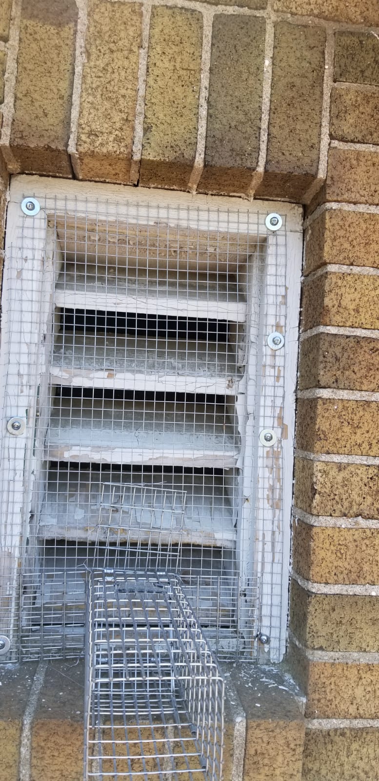 Acon Pest Control | 38 W Normandy Dr, Markham, ON L6B 0A6, Canada | Phone: (647) 562-7378