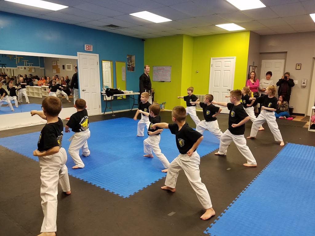 Master Biesik’s Martial Arts | 1087 Erie Ave Suite 202, North Tonawanda, NY 14120, USA | Phone: (716) 246-4853