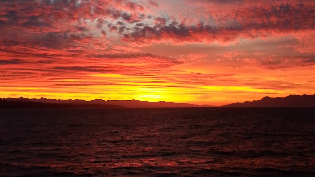 Guardian Bookkeeping and Payroll Services | 4785 Alder Street, Gillies Bay, BC V0N 1W0, Canada | Phone: (604) 578-8214
