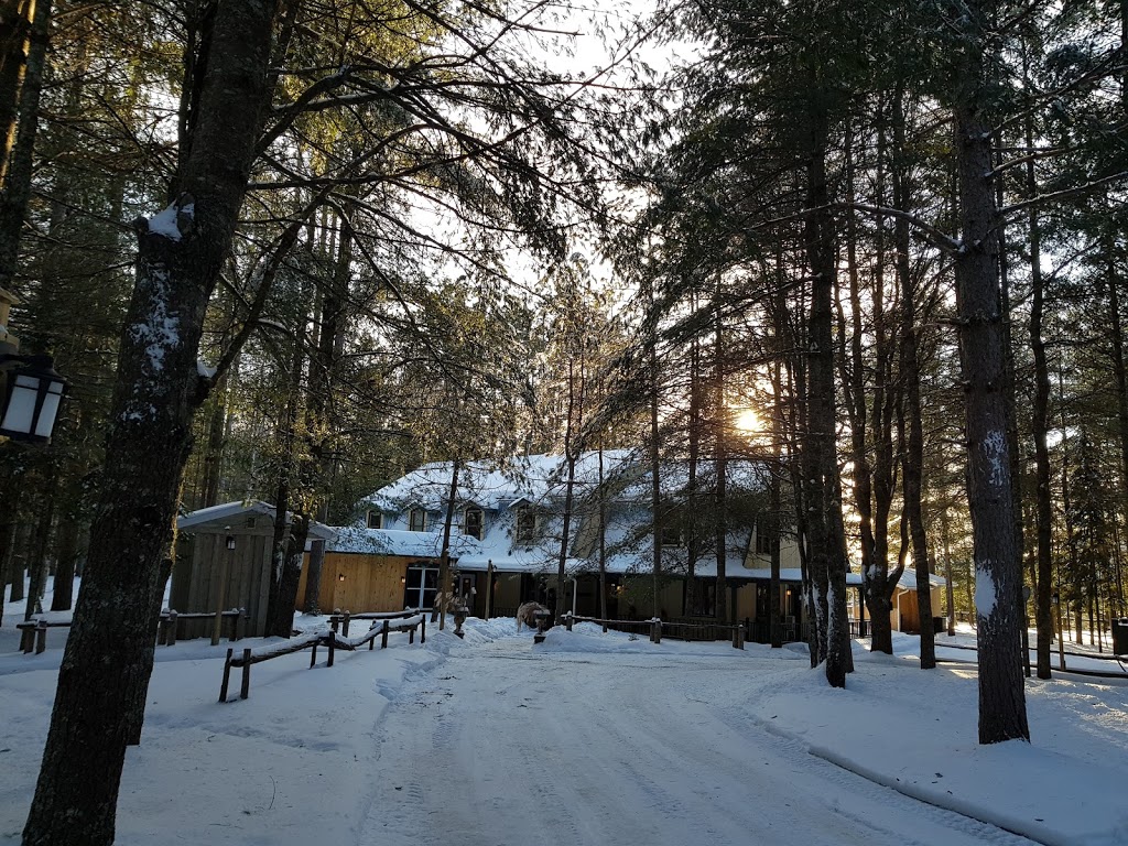 Auberge le Cosy / Tremblant | 4273 Route des Tulipes, La Conception, QC J0T 1M0, Canada | Phone: (819) 686-5289