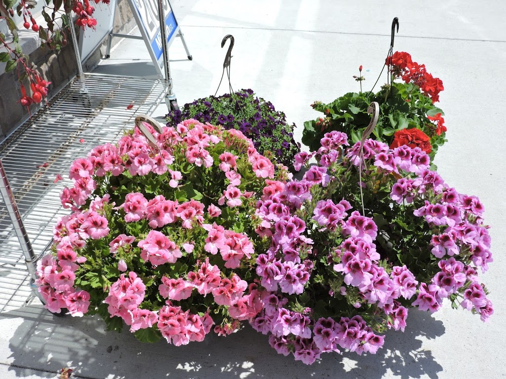 Thornton Mini Mart | 575 Thornton Rd N, Oshawa, ON L1J 8L5, Canada | Phone: (905) 434-1362