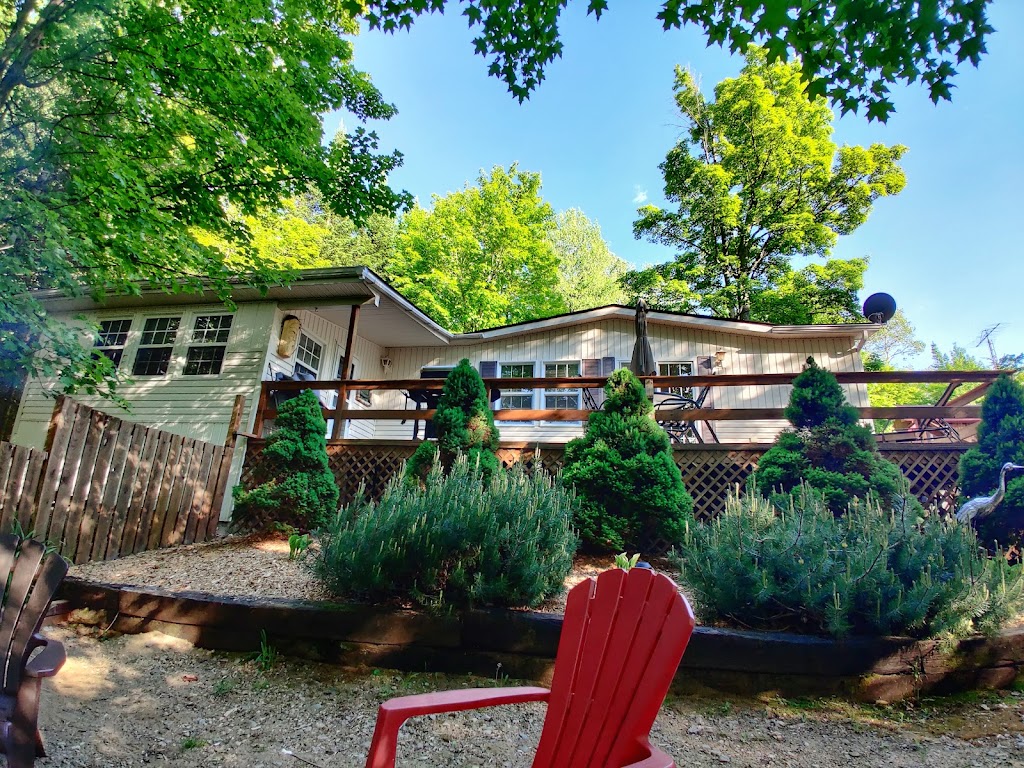 Forest Retreat Accommodations | 29043A/B, ON-60, Whitney, ON K0J 2M0, Canada | Phone: (613) 637-5479