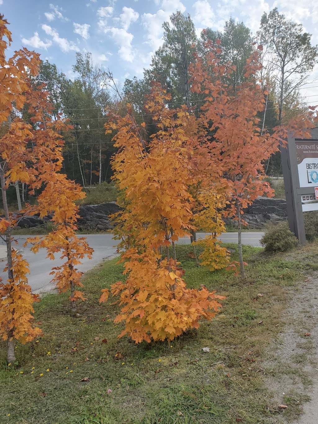 Lac superieur | 2213-2261 Chemin du Lac Supérieur, Lac-Supérieur, QC J0T 1P0, Canada | Phone: (819) 713-0445