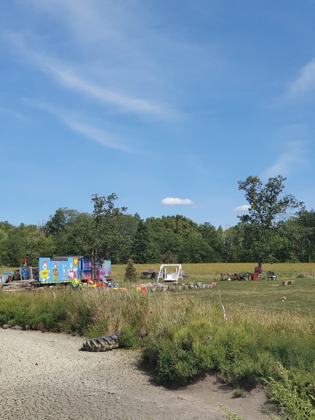 Ostrich Land Farm | 8299 Concession 2 Rd, Caistor Centre, ON L0R 1E0, Canada | Phone: (647) 988-0841