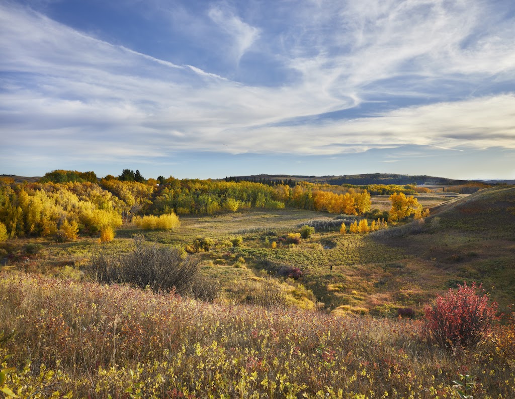 Highfield Land Management | 11410 27 St SE Suite #19, Calgary, AB T2Z 3R6, Canada | Phone: (403) 723-2106