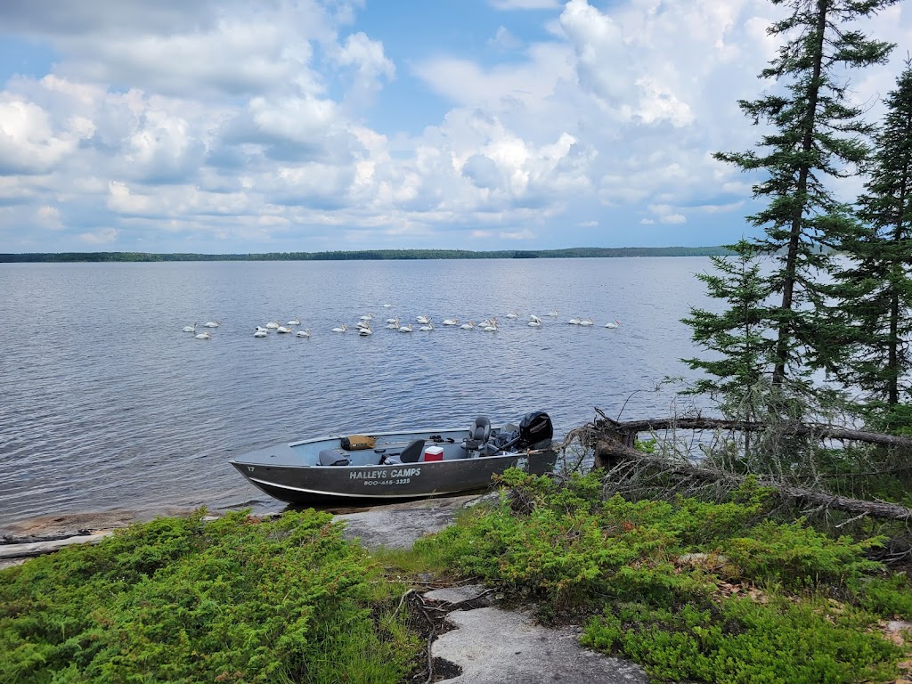 Halleys Camps One Man Lake Lodge | Minaki, ON P0X 1P0, Canada | Phone: (800) 465-3325