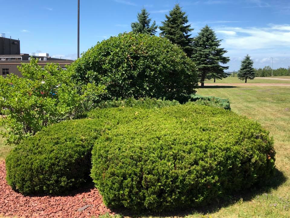 Quality Lawn Care & Landscaping | 1293 Hastings Rd, Amherst, NS B4H 3Y2, Canada | Phone: (902) 664-9999