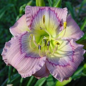 Gardens Plus | 136 County Rd 4, Peterborough, ON K9L 1V6, Canada | Phone: (705) 742-5918