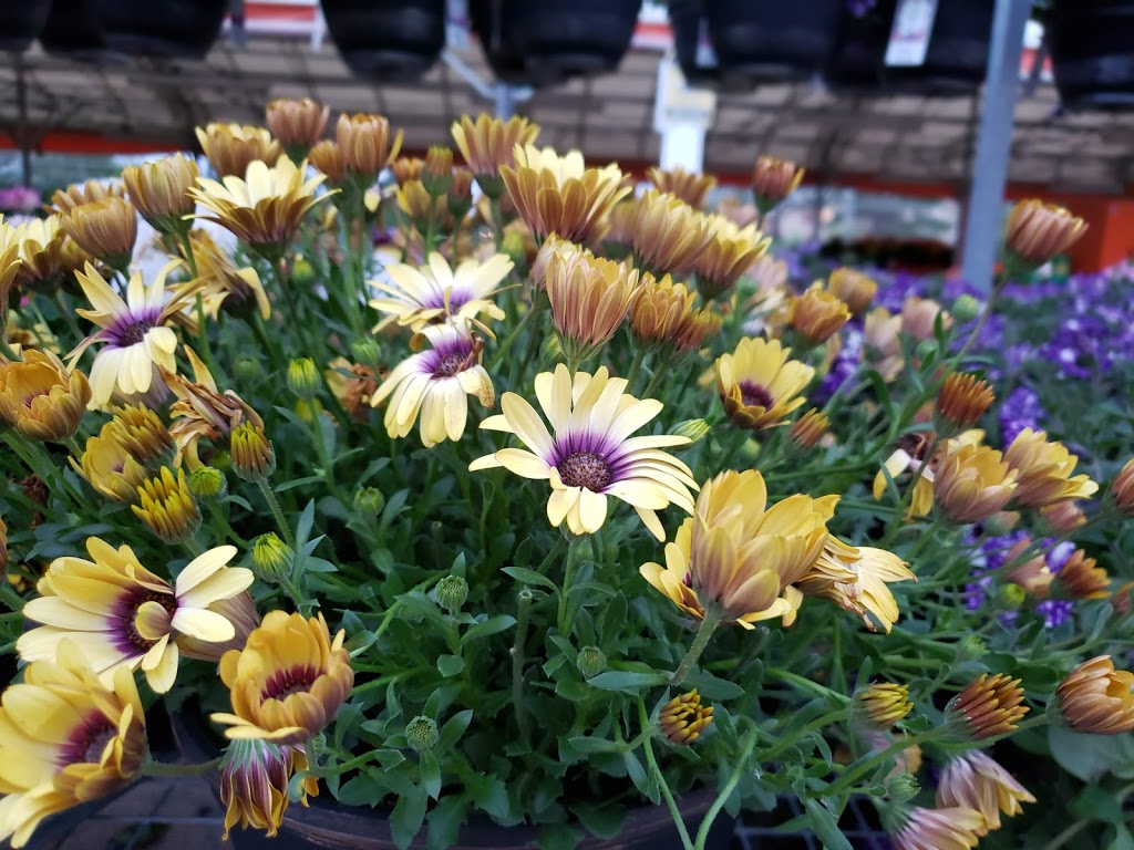 The Home Depot | 2020 101 St NW, Edmonton, AB T6N 1J2, Canada | Phone: (780) 433-6500