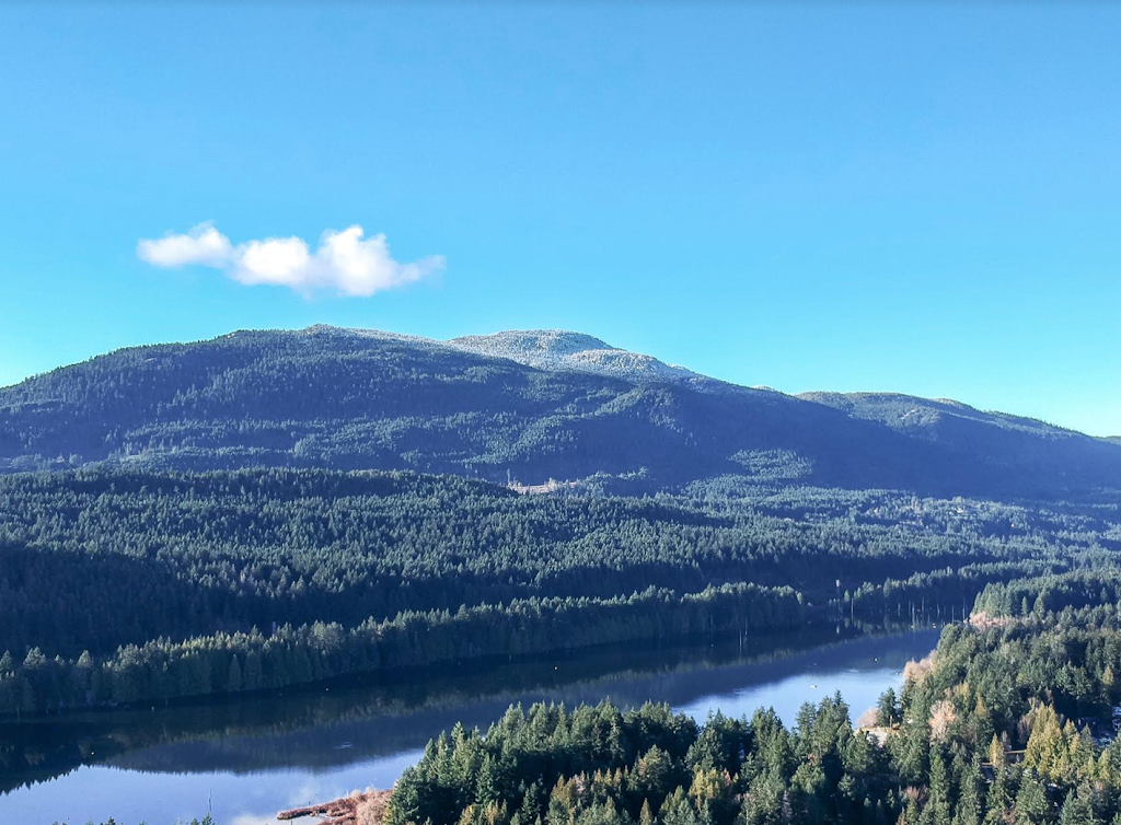 Josh Wynia - 460 Realty Inc. | 202-1551 Estevan Rd, Nanaimo, BC V9S 3Y3, Canada | Phone: (250) 714-6577