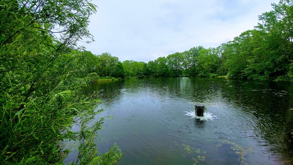 Mount Pleasant Nature Park | 755 Mt Pleasant Rd, Mount Pleasant, ON N0E 1K0, Canada