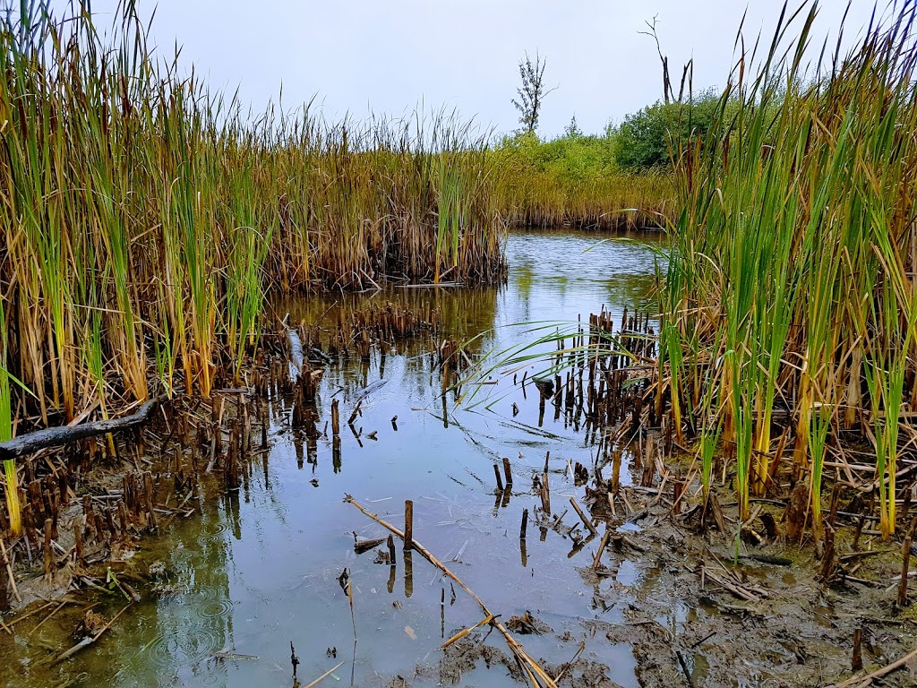 Assiniboine Forest | 55 Pavilion Crescent, Winnipeg, MB R3P 2N6, Canada | Phone: (204) 927-6000