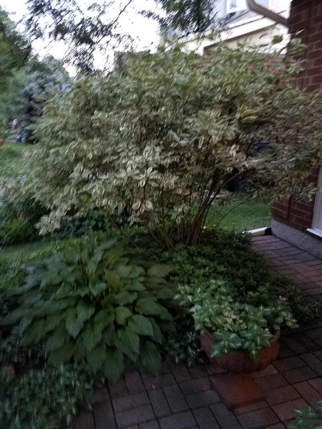 Port Royal Park | 50 Port Royal Trail, Scarborough, ON M1V 2G8, Canada | Phone: (416) 338-5058