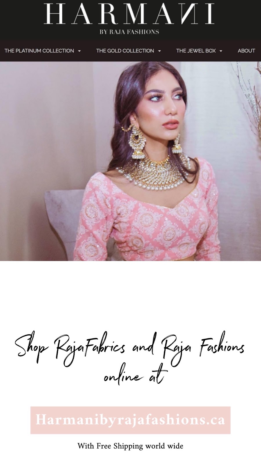 Raja Fashions | 116 Kennedy Rd S, Brampton, ON L6W 3E7, Canada | Phone: (905) 457-9316