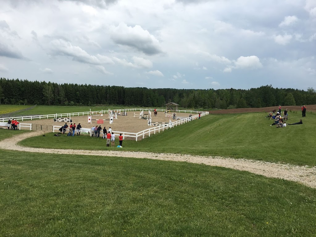 Silver Fox Farm | 873096 5 Line E, Mono, ON L9W 6A4, Canada | Phone: (647) 203-8348