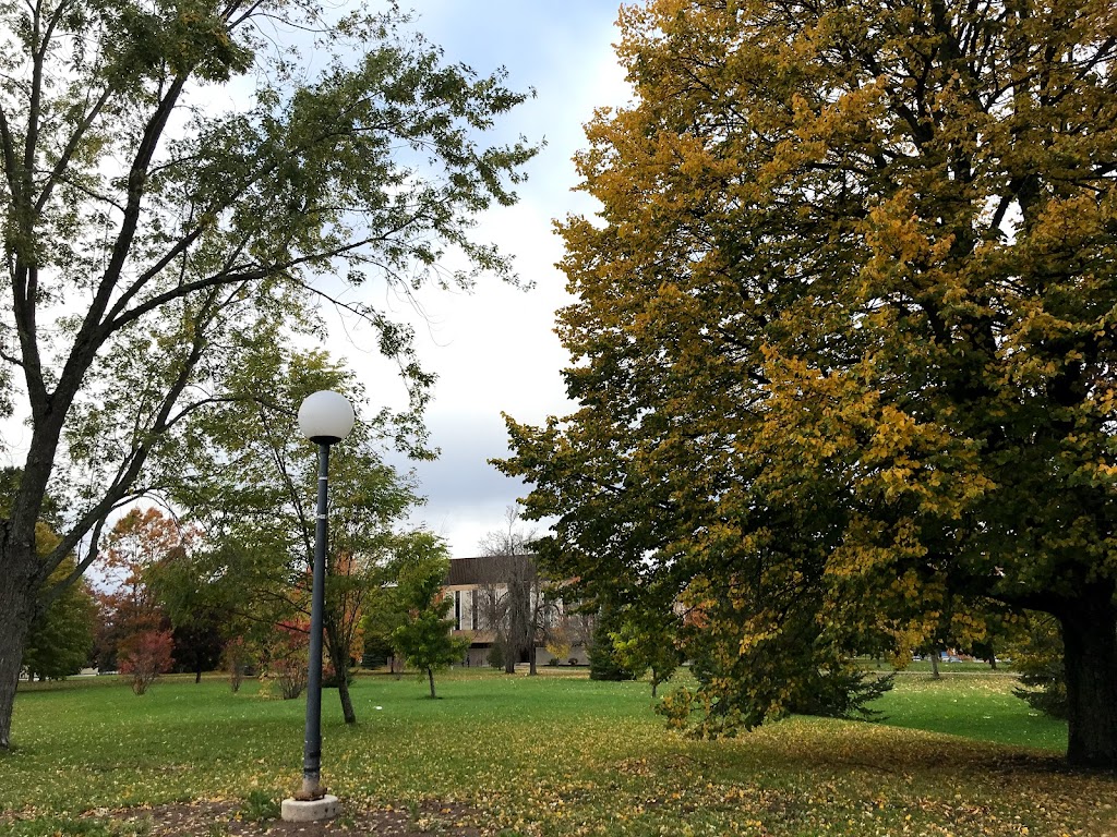 Université de Moncton | 18 Antonine-Maillet Ave, Moncton, NB E1A 3E9, Canada | Phone: (506) 858-4000
