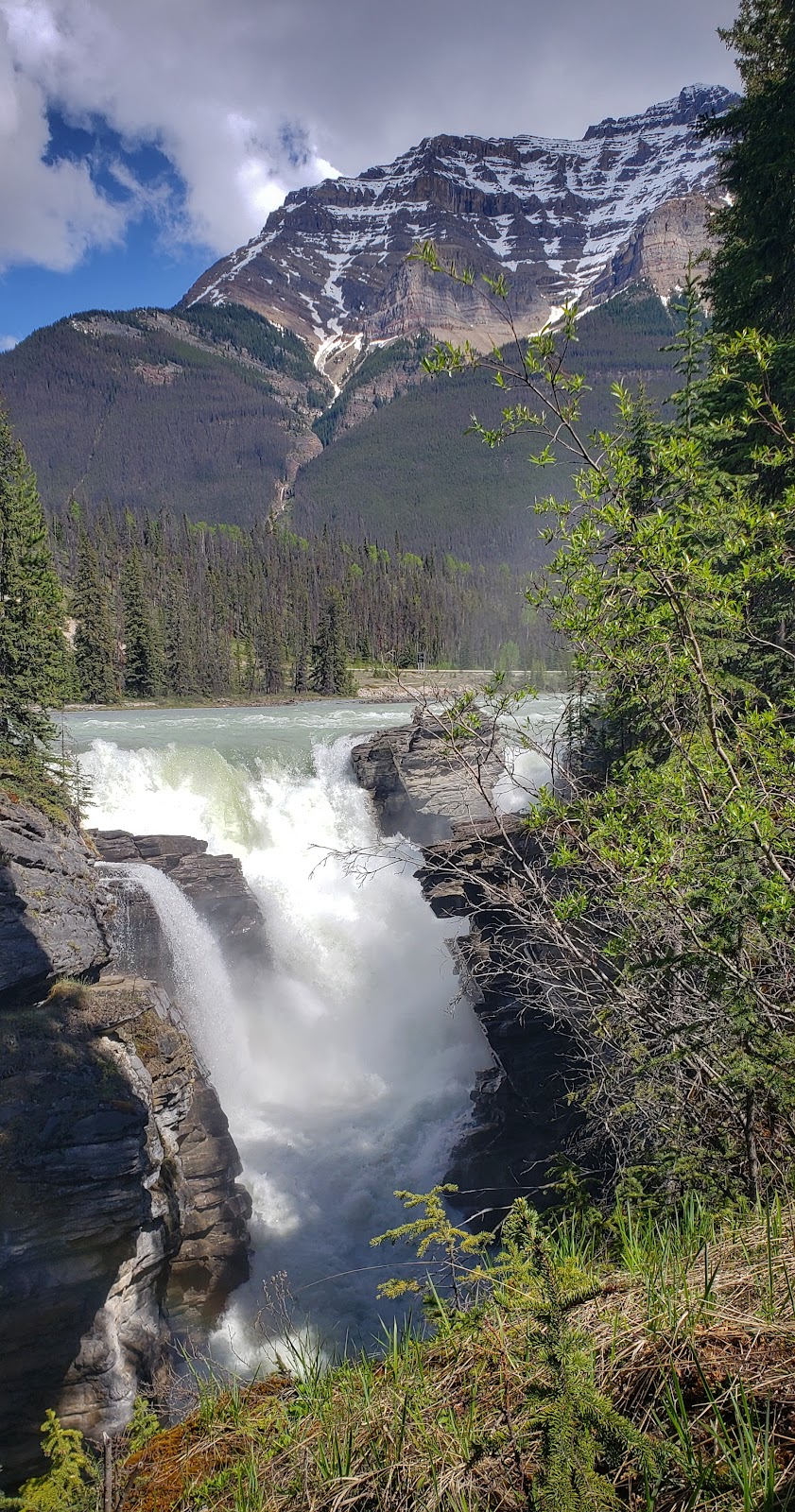 Coliseum Mountain Resort | 309 Shunda Creek, Rd., Nordegg, AB T0M 2H0, Canada | Phone: (715) 559-9849