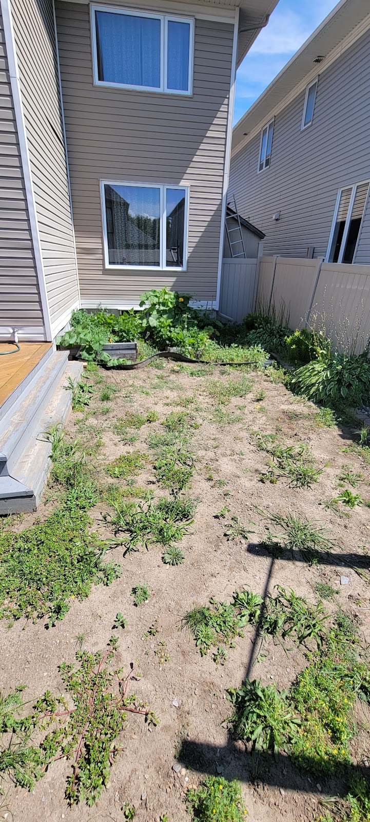 T and W Mini Excavation/landscaping | 100 chats road, Fitzroy Harbour, ON K0A 1X0, Canada | Phone: (613) 281-2561