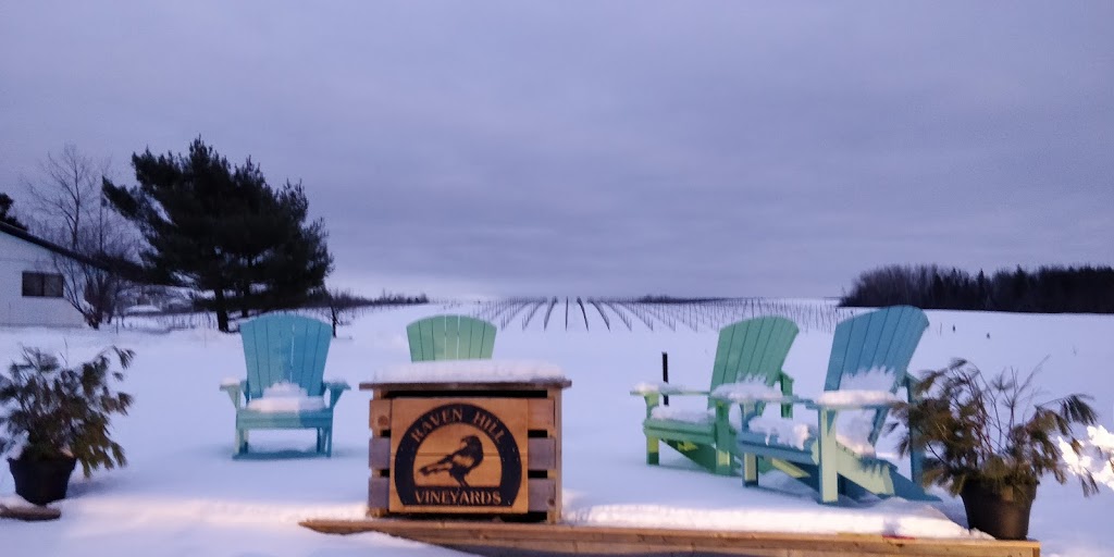 Raven Hill Vineyards | 11140 Nova Scotia Trunk 1, Wolfville, NS B4P 2R1, Canada | Phone: (902) 690-5619