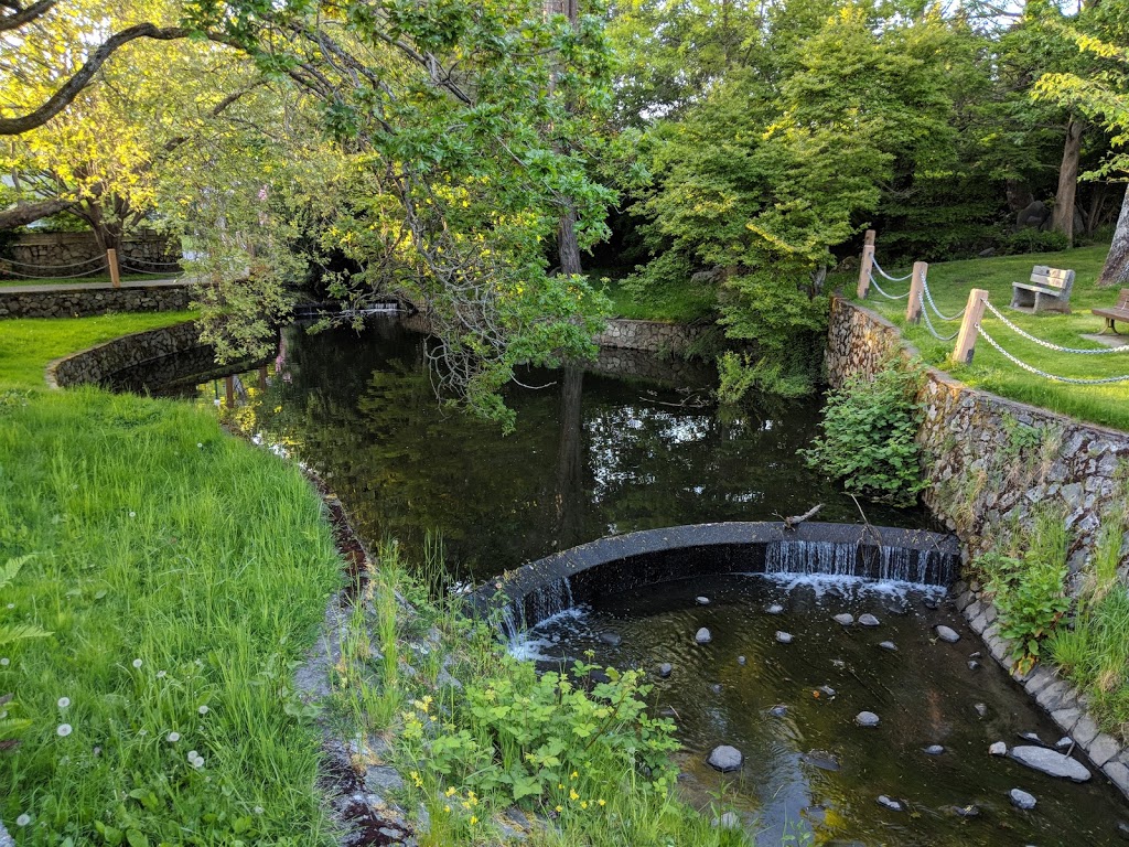 Bowker Creek Walkway Oak Bay | 1732 Armstrong Ave, Victoria, BC V8R 5S6, Canada | Phone: (250) 598-3311