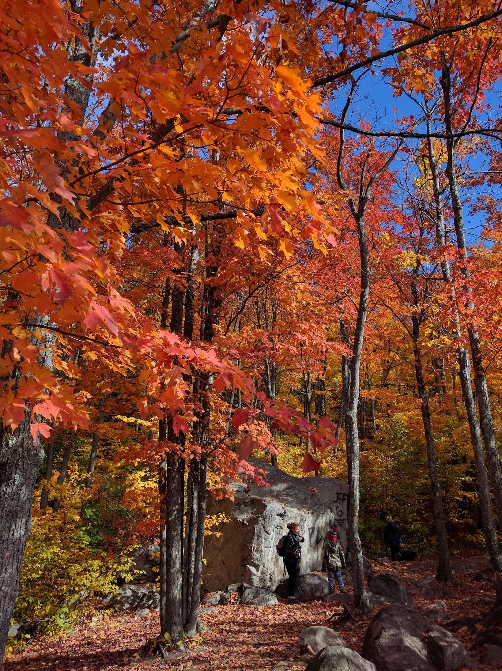 Sentier Du Mont sourire / Stationnement Saint donat de montcalm Photos Sentier du mont-sourire / Stationnement - Chemin de l'Étang, Saint-Donat-de- Montcalm, QC J0T 2C0, Canada