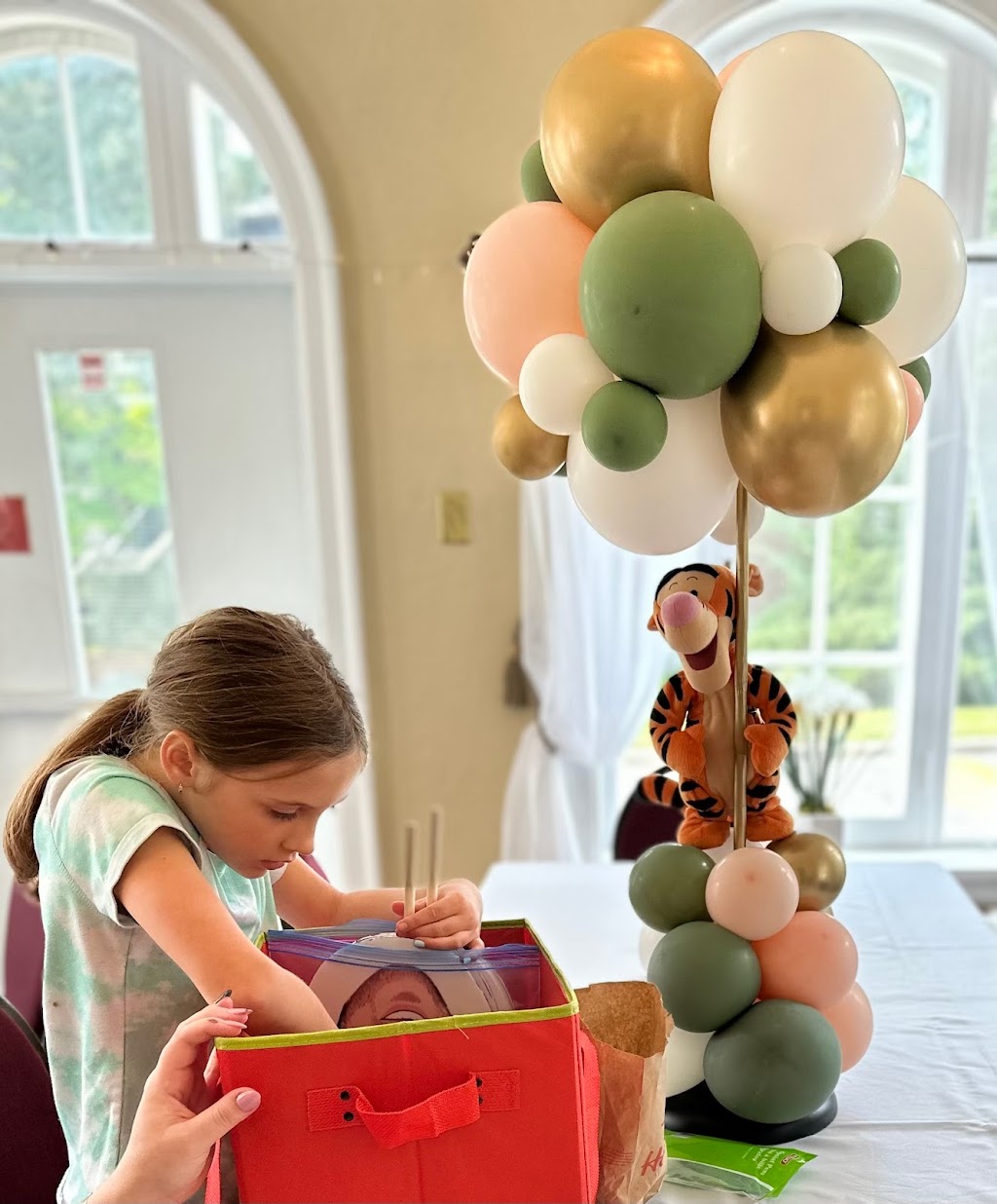 Ballon Extravaganza | 84 Rue Brabant, Gatineau, QC J8M 1K5, Canada | Phone: (819) 744-1188