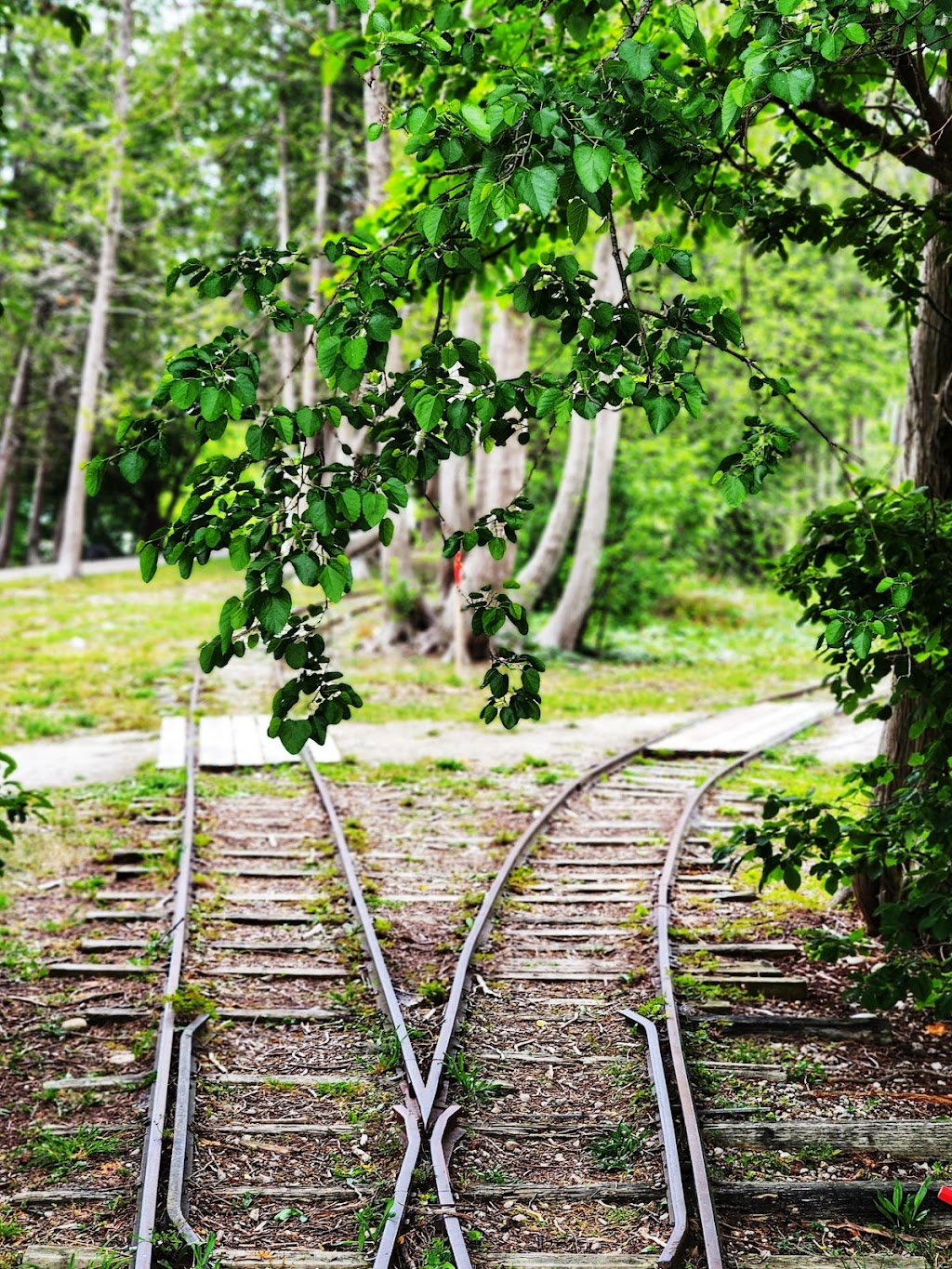 North Shore Park Beach | 780 Stevens St, Port Elgin, ON N0H 2C5, Canada | Phone: (800) 387-3456