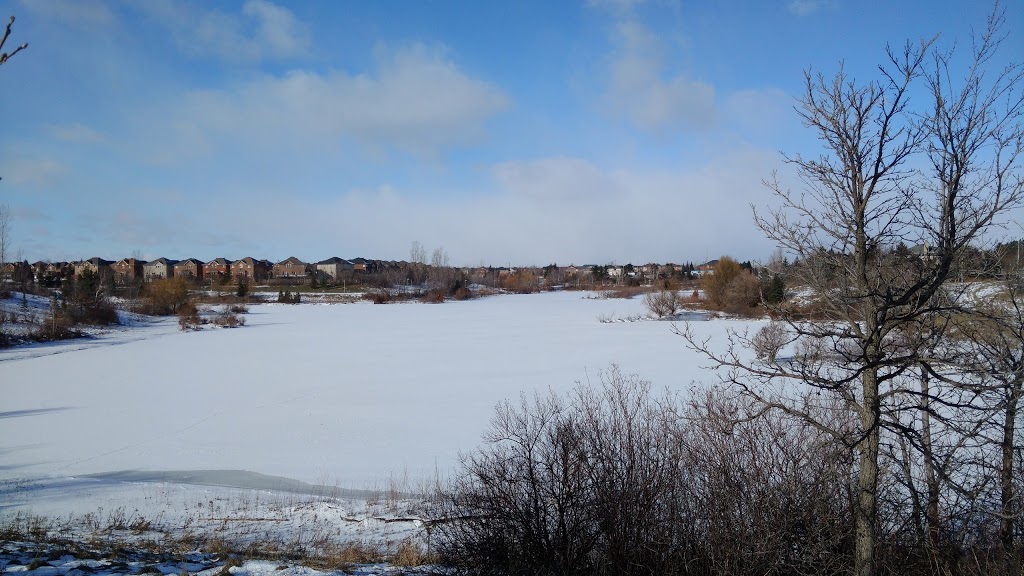 Bloore Pond | Brampton, ON L6R 2G8, Canada