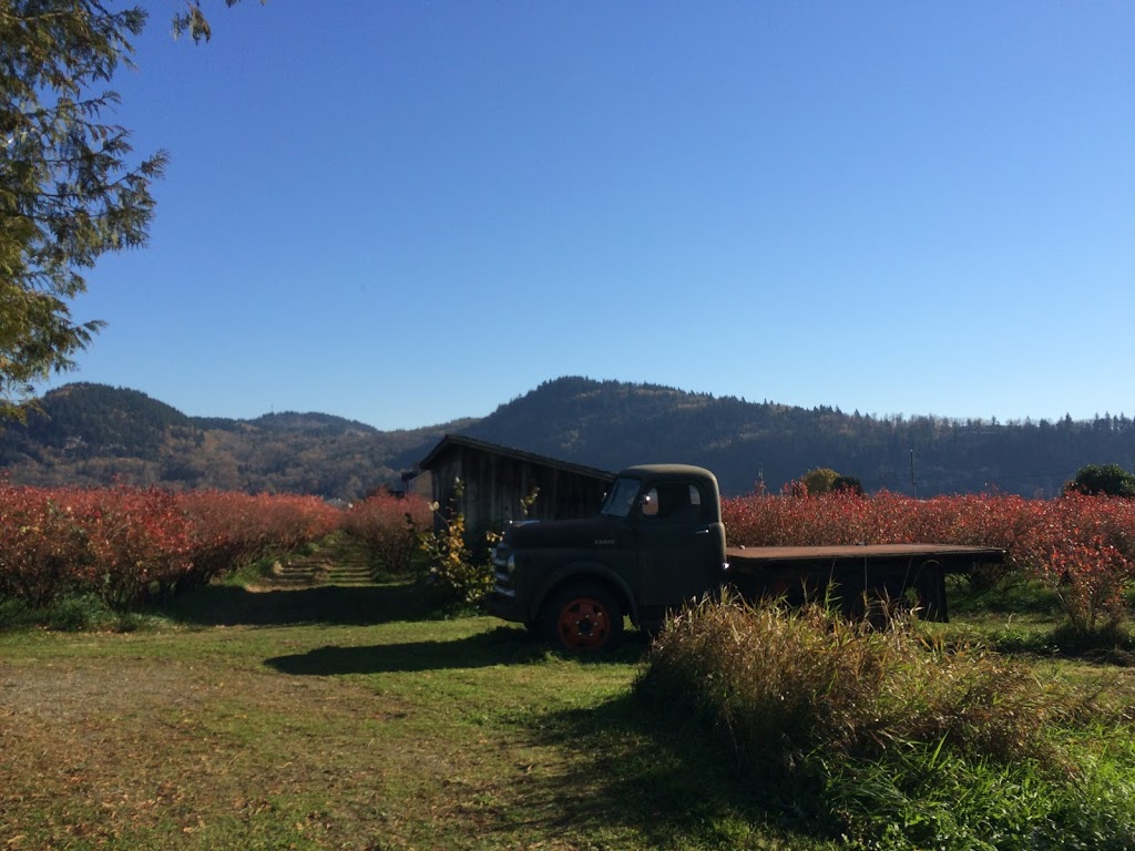 Matsqui Blue Farms | 34621 Hallert Rd, Abbotsford, BC V3G 1R3, Canada | Phone: (604) 859-8918