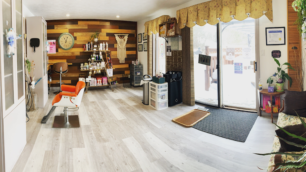 Old to New Hair Salon | 42 Adelaide St, Harriston, ON N0G 1Z0, Canada | Phone: (519) 477-8929