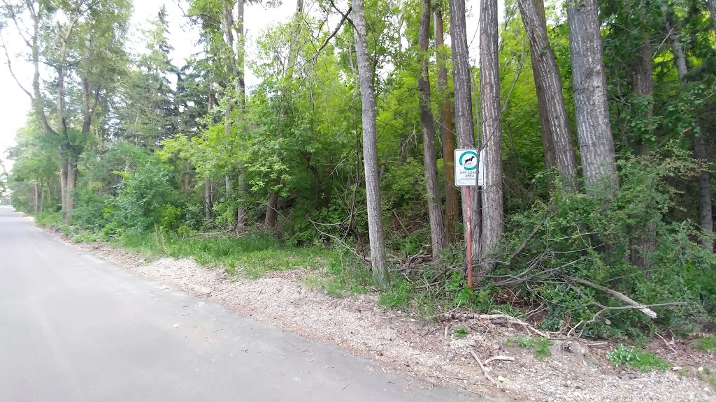 Britannia Off-leash Area | 4403 10 St SW, Calgary, AB T2S 1J4, Canada