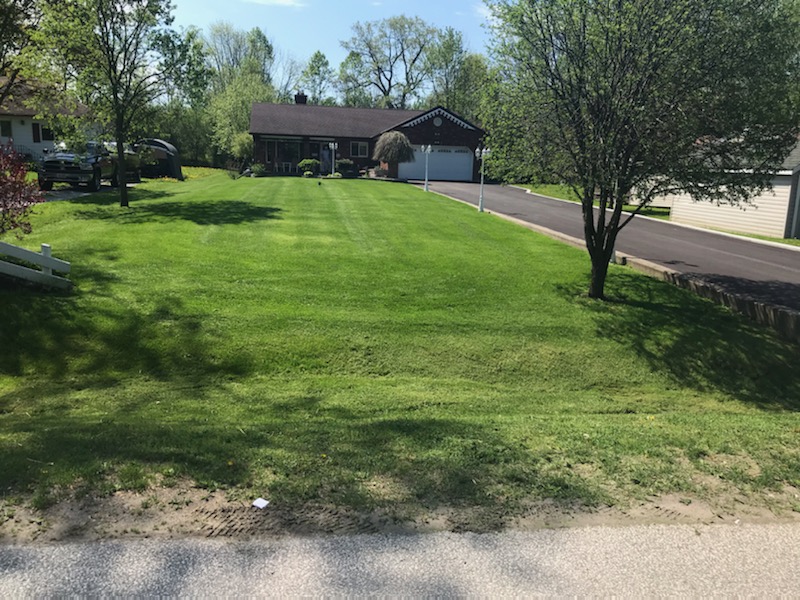 MOW-TION Property Services | 150 Virginia Blvd, Sutton, ON L0E 1R0, Canada | Phone: (416) 303-3720