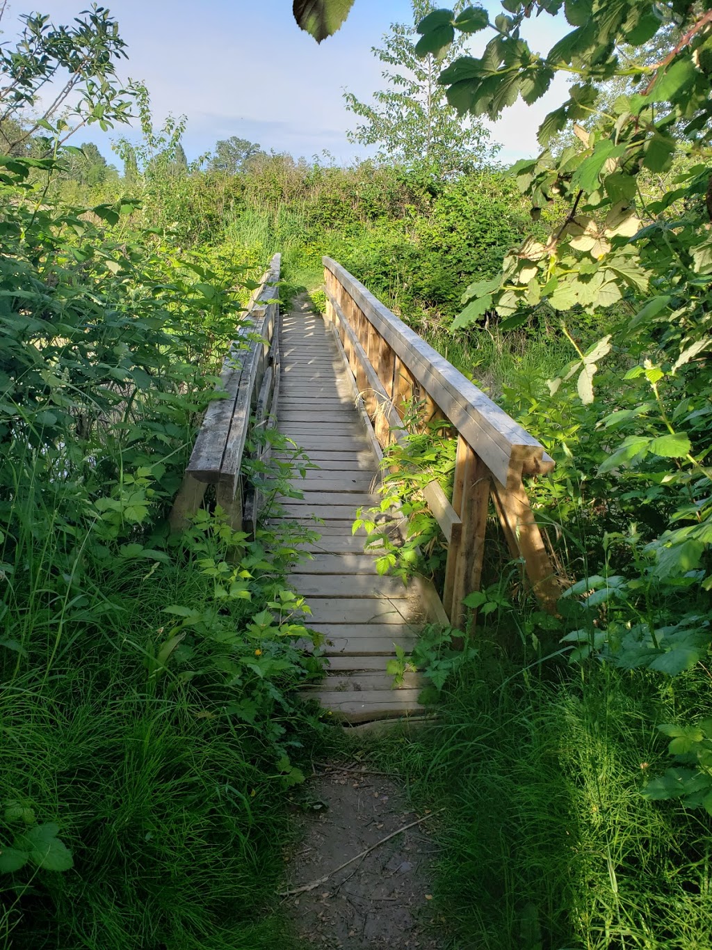 Mcneeleys Trail | 5011 River Rd, Delta, BC V4K 4V9, Canada