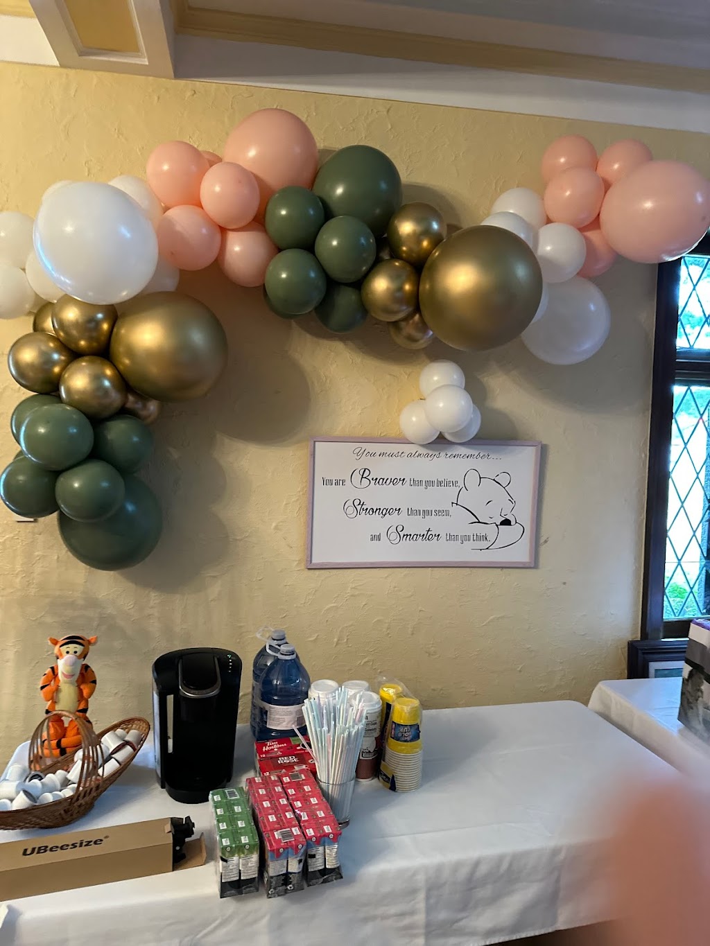 Ballon Extravaganza | 84 Rue Brabant, Gatineau, QC J8M 1K5, Canada | Phone: (819) 744-1188