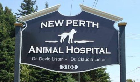 New Perth Animal Hospital | 3188 Georgetown Rd Rte. #3, New Perth, PE C0A 1G0, Canada | Phone: (902) 838-1800