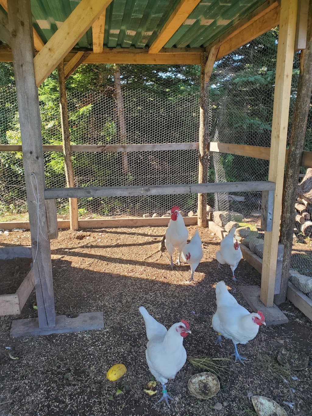 The Vulture’s Roost | VF5C+P5, Dorchester Parish, NB E4K 3J4, Canada | Phone: (506) 224-0110