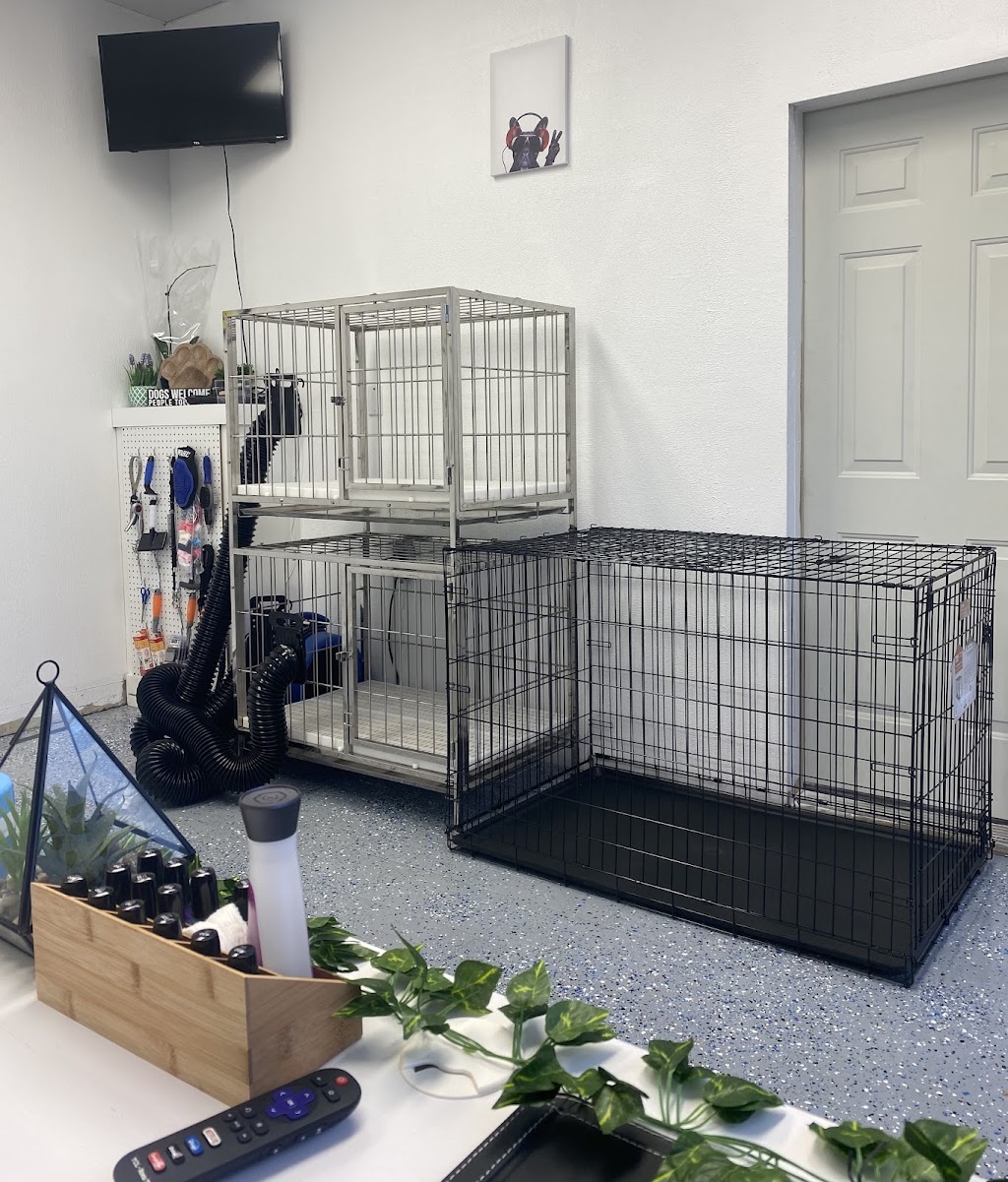 Scruffy To Fluffly by Shian | 95 Dufferin St, Perth, ON K7H 3A5, Canada | Phone: (613) 246-1145