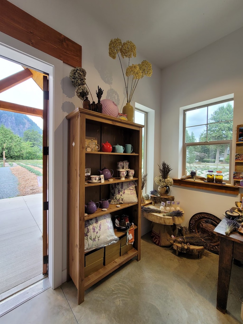 Harrison Lavender | 3777 Wildwood Dr, Agassiz, BC V0M 1A3, Canada | Phone: (778) 985-1039