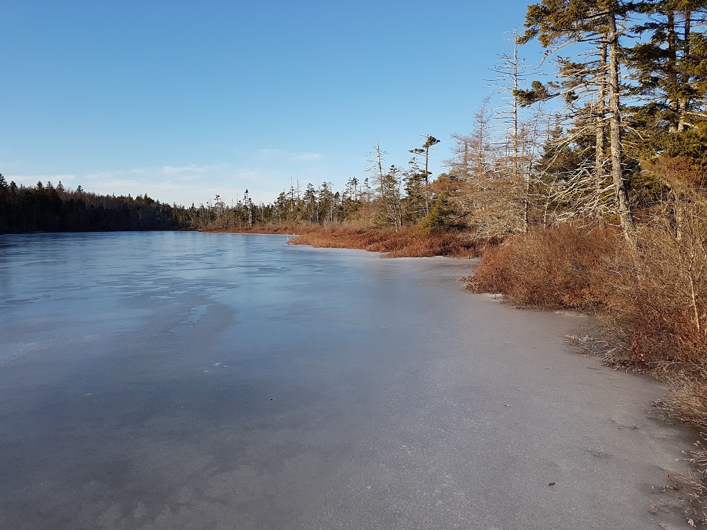 Raven Head Wilderness Area | Amherst, NS B4H 3Y4, Canada | Phone: (902) 424-3600