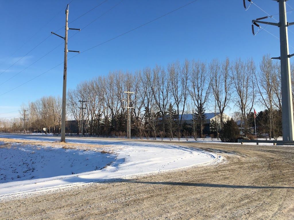 Simon Bos Nurseries LTD | 195077 TWP 102, Coaldale, AB T1M 1M9, Canada | Phone: (403) 330-8010