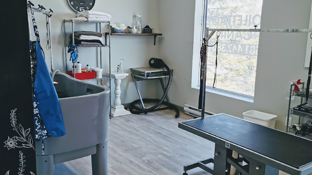 Institut Glam Canin | 1071 Bd Raymond, Québec, QC G1B 2R5, Canada | Phone: (581) 398-2216