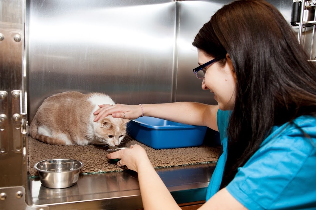 Headon Forest Animal Hospital | 3500 Dundas St, Burlington, ON L7M 4B8, Canada | Phone: (905) 332-4014