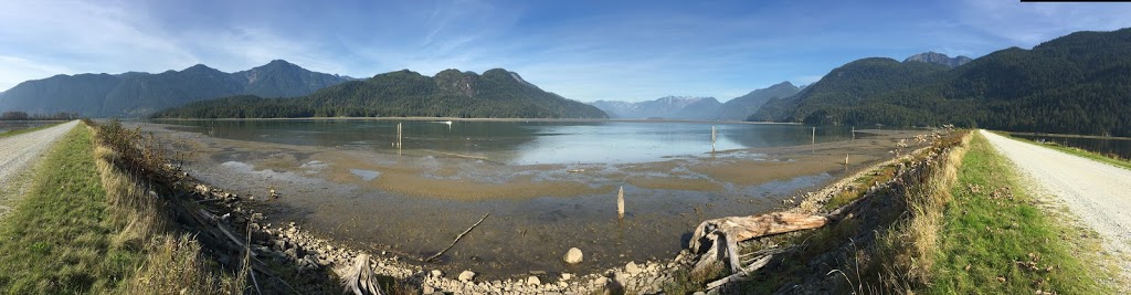 Pitt Polder Ecological Reserve | Pitt Meadows, BC V3Y, Canada