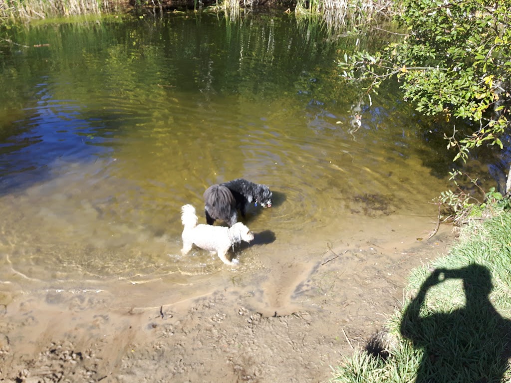 Fergus Dog Park | 840 Glengarry Crescent, Fergus, ON N1M 3W1, Canada