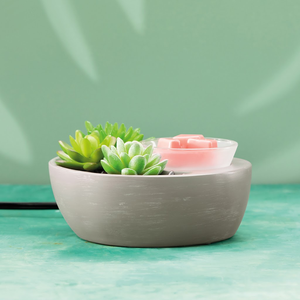Independent Scentsy Consultant ~ Tammy Benoit | 128 Manning Dr, Chatham, ON N7M 0J7, Canada | Phone: (519) 784-7474